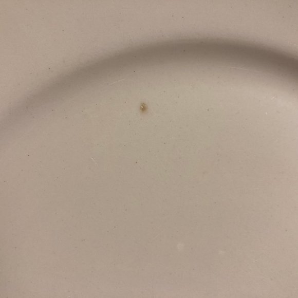 Vintage Dinner Plates (2) 9 Inches with Pink & Blue Flowers / Roses - Picture 9 of 16